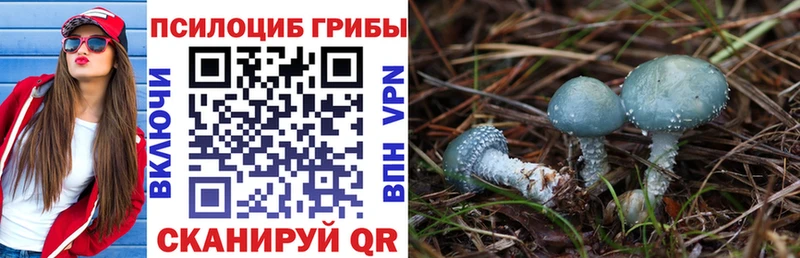 Псилоцибиновые грибы прущие грибы  дарнет шоп  Гудермес 