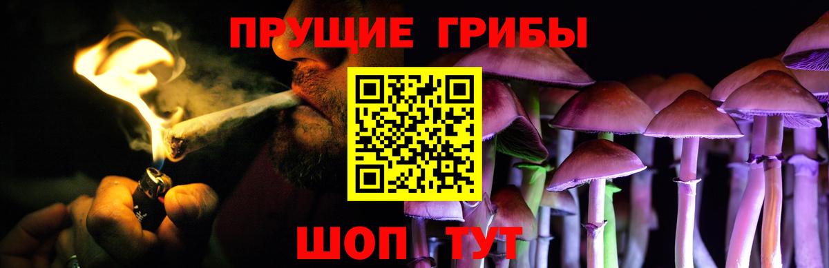 Псилоцибиновые грибы прущие грибы  Галлюциногенные грибы ЛСД  Вход с VPN  Гудермес 