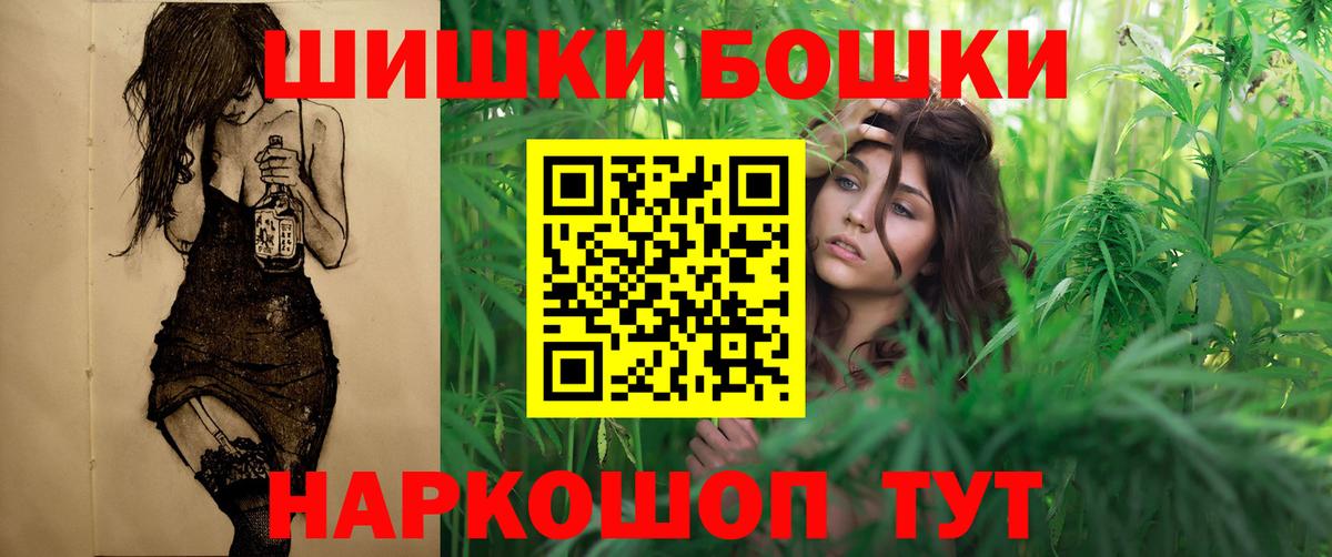 ГАШ Гудермес